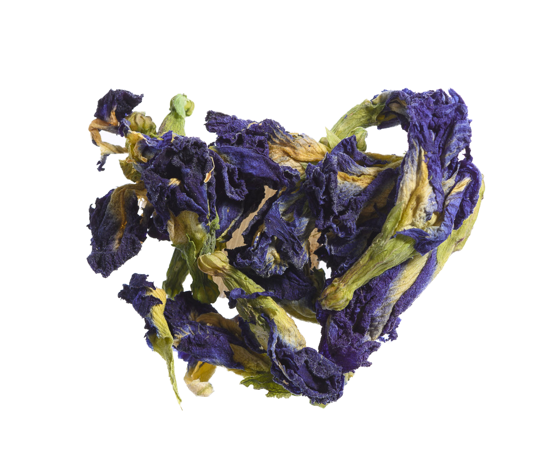 Black Friday Deals | Butterfly Pea Tea